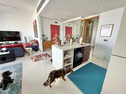 Soleil @ Sinaran (D11), Condominium #610206021